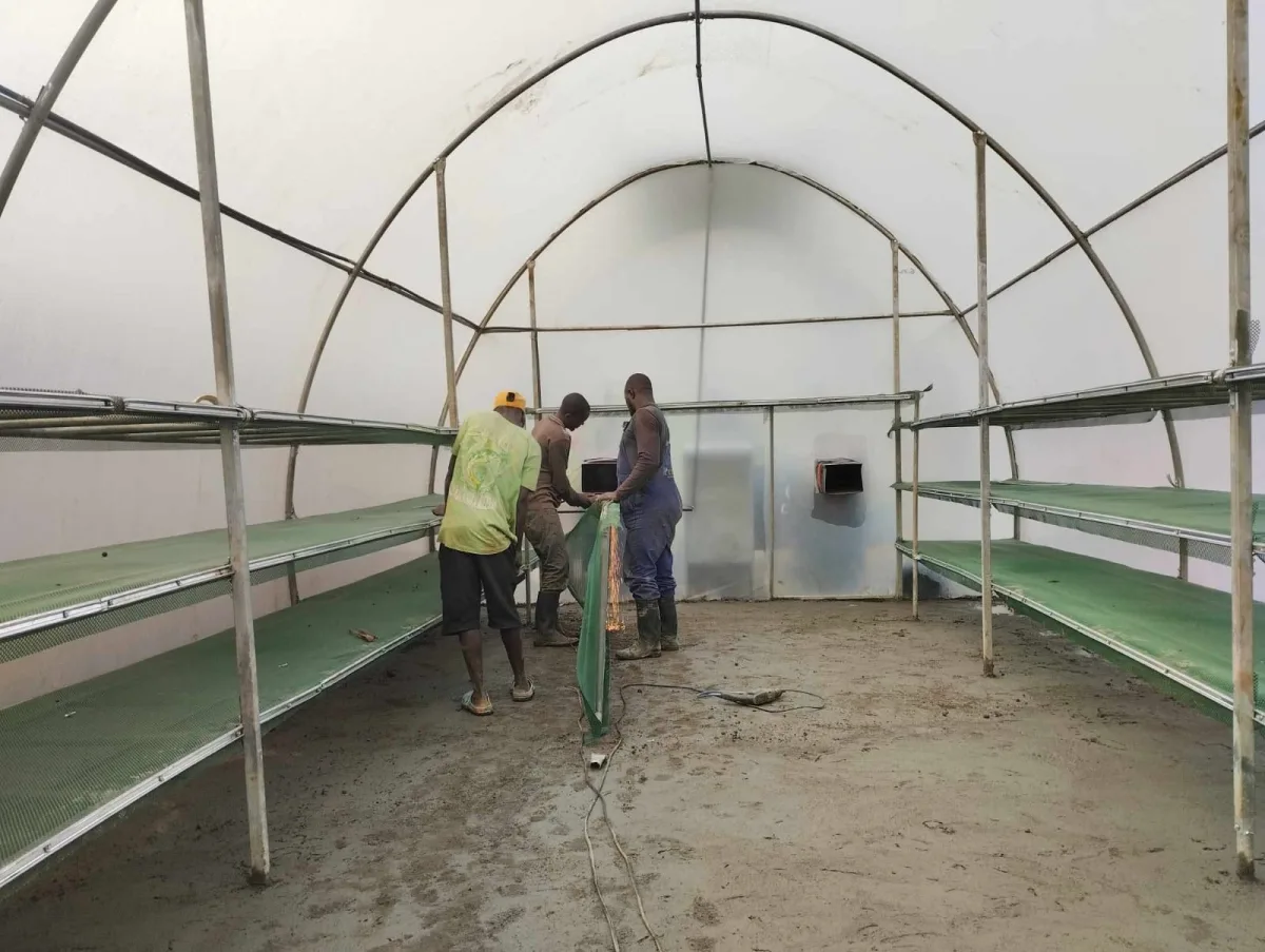Solar dryer interior shelves